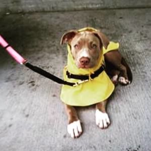 Meet your Posher, Mandee